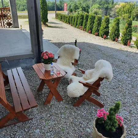 Mrowca Goscinne * Gronkow